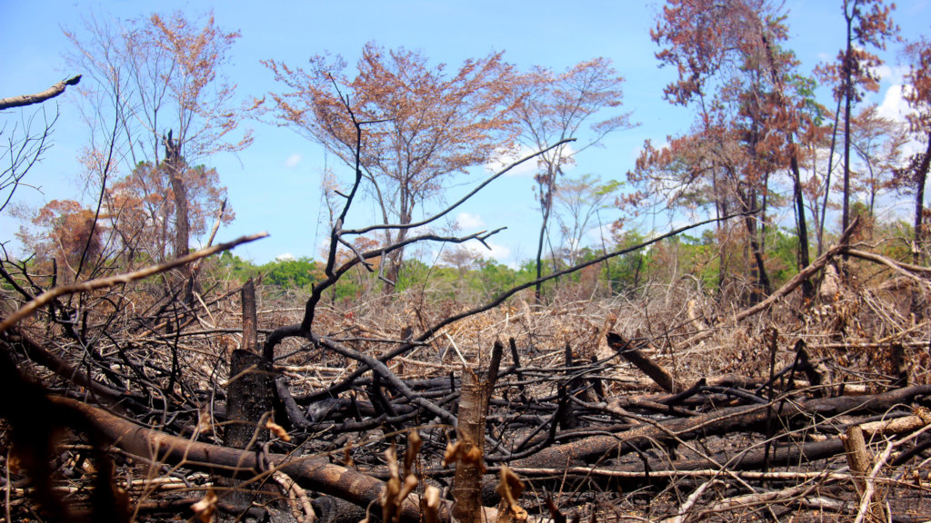 Building Community Fire Fighting Capacity