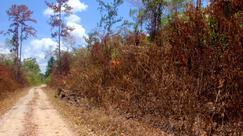 Building Community Fire Fighting Capacity