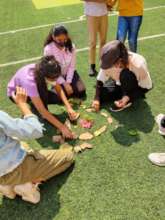 Students's nature mandalas Ashoka Global Academy