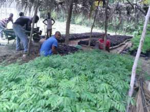 building nurseries for reforrestation in Haiti