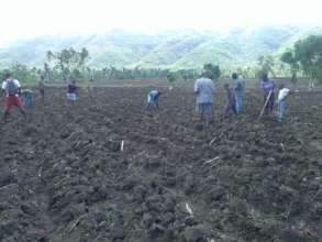 OPBC members working  during planting season