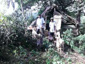 OPDTM members caring for their goats