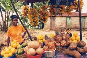 Manita small fruit stand flourishing