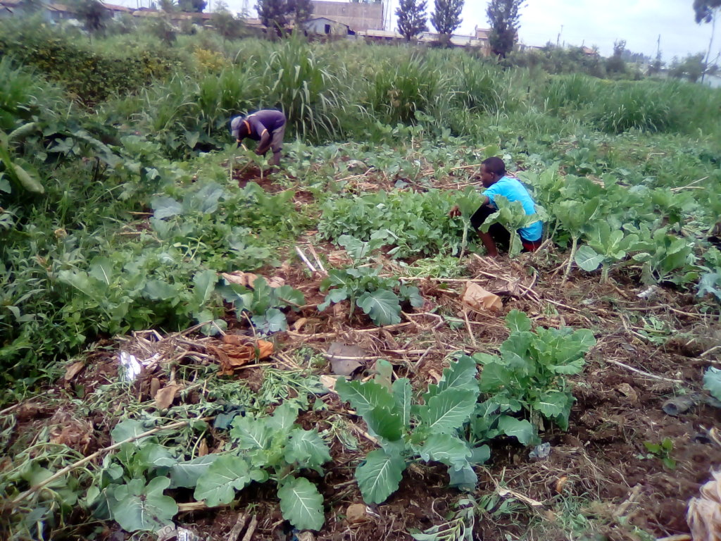 Building Local Philanthropy