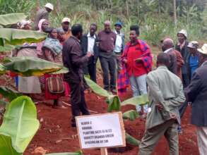 Community farmers training