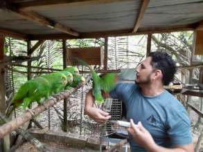 Outdoors hand feeding as they get older