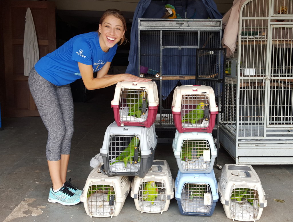 Hand-raising endangered yellowhead parrot chicks