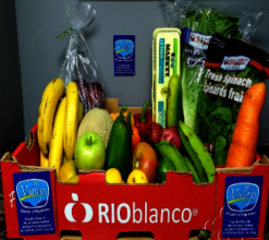 Food Box to Elderly 2