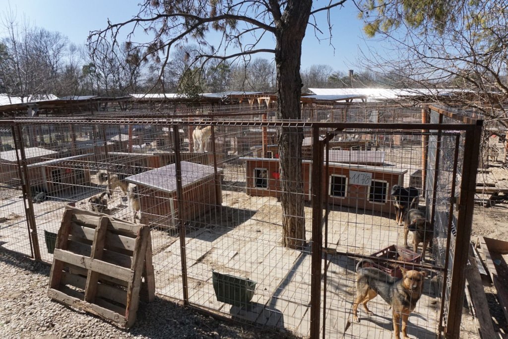 Financial Support for all our shelters