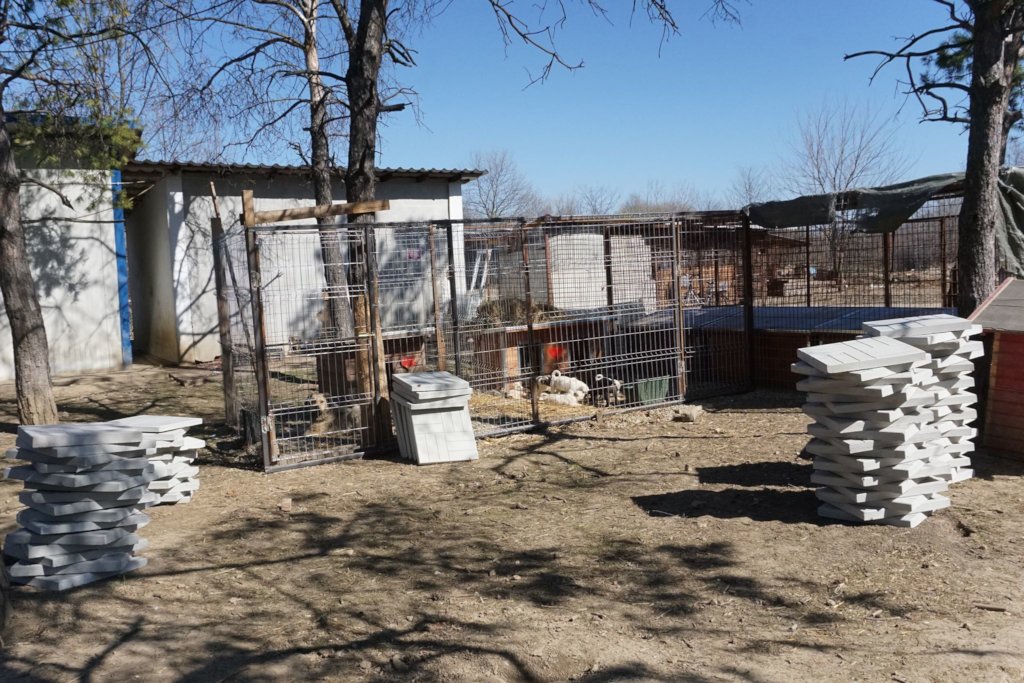 Financial Support for all our shelters