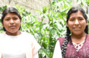 High School Education for Two Rural Girls