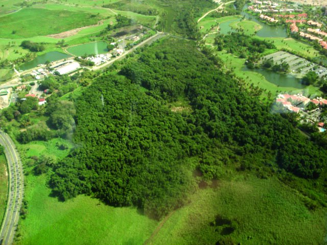 Help us help Nature restore the Pterocarpus Forest