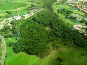Vista aerea del Bosque