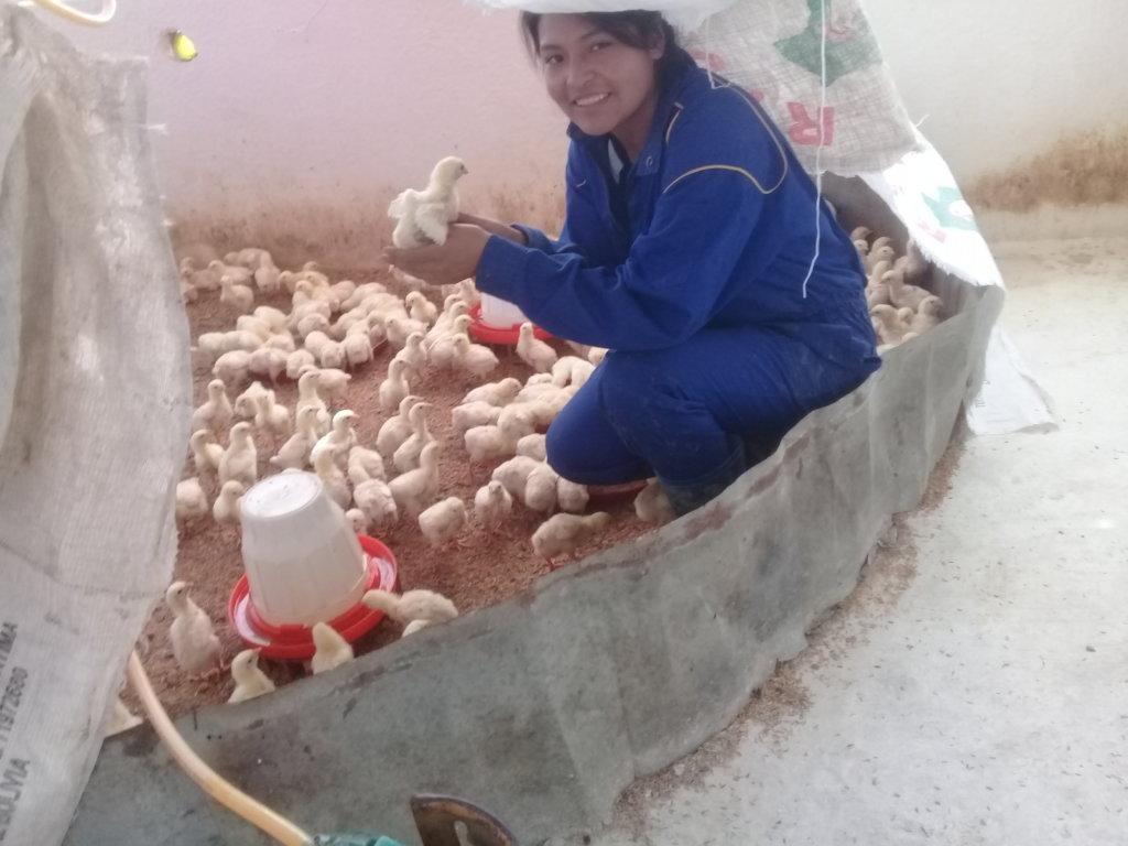 Help Bolivian Youth Access Higher Education