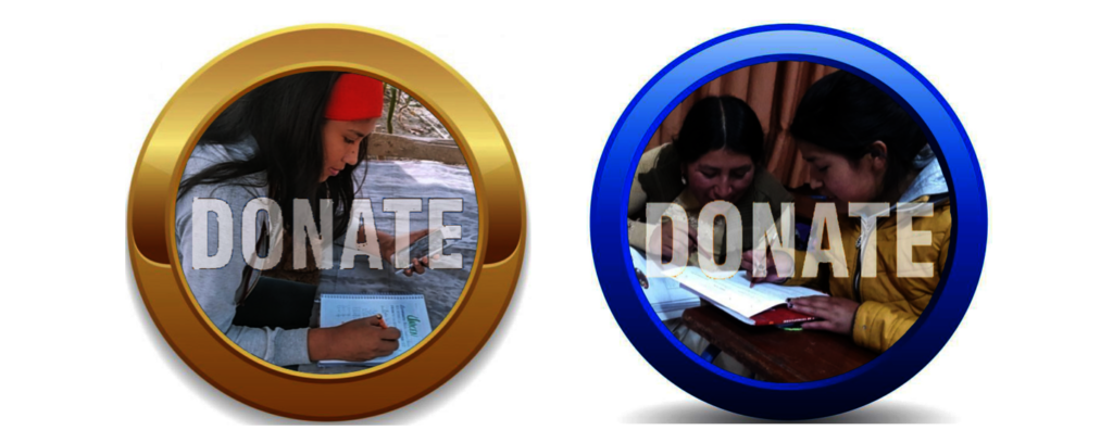 Help Bolivian Youth Access Higher Education