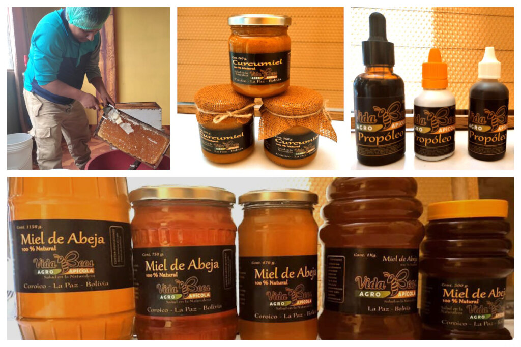 Help Bolivian Youth Access Higher Education