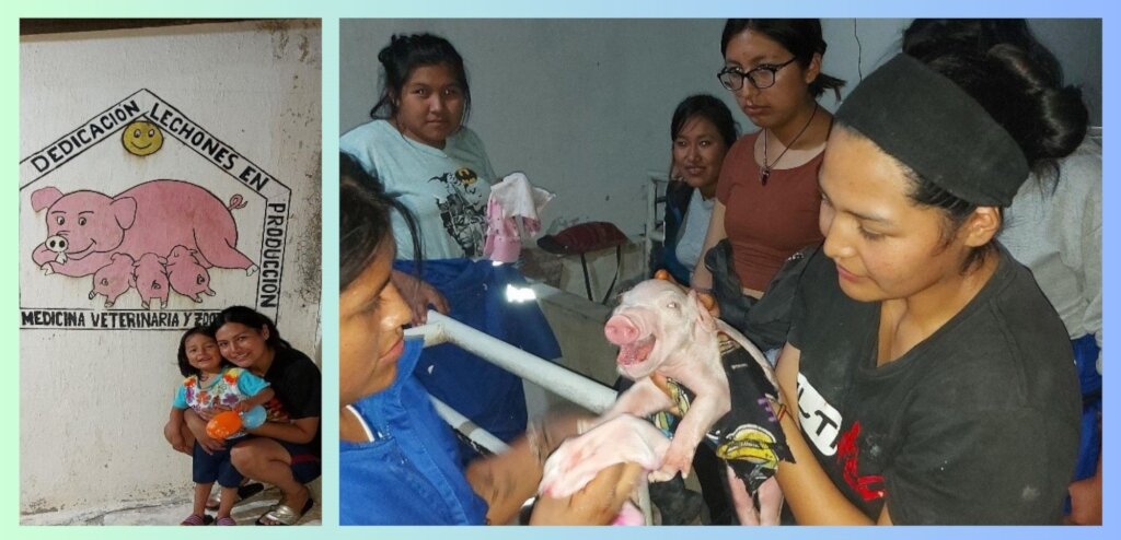 Help Bolivian Youth Access Higher Education