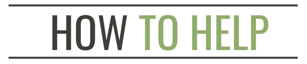 Help Bolivian Youth Access Higher Education