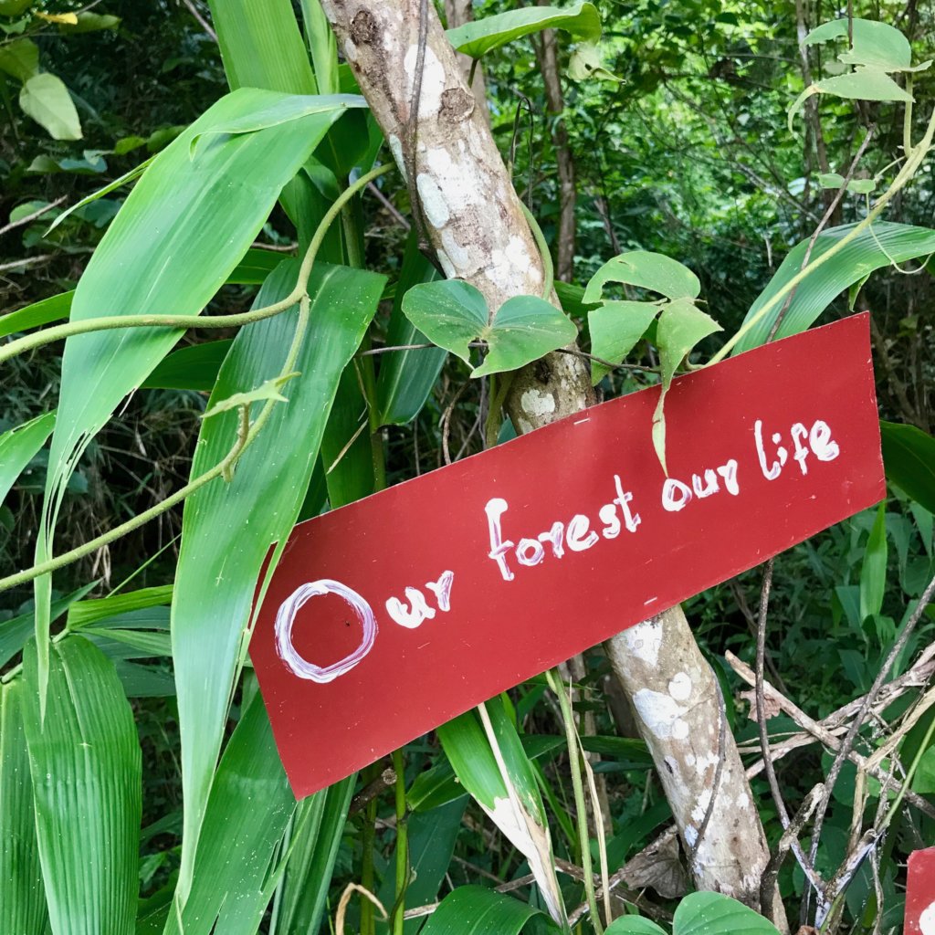 Protecting Forests & Indigenous Rights in Myanmar
