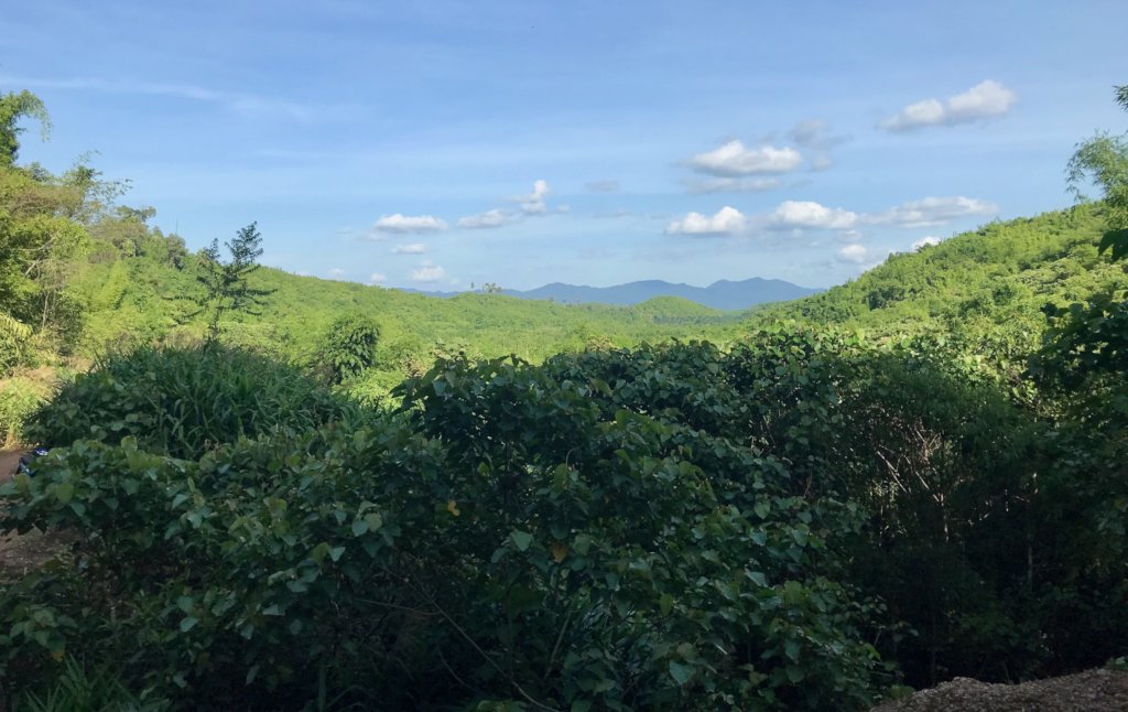 Protecting Forests & Indigenous Rights in Myanmar