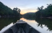Protecting Forests & Indigenous Rights in Myanmar