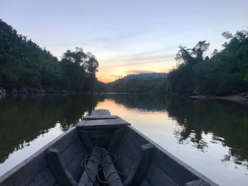 Protecting Forests & Indigenous Rights in Myanmar