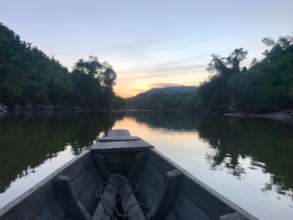 Protecting Forests & Indigenous Rights in Myanmar
