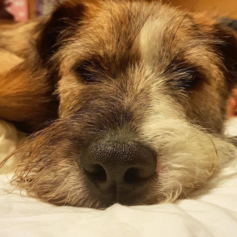 COVID -19 Solidarity Emergency Fund