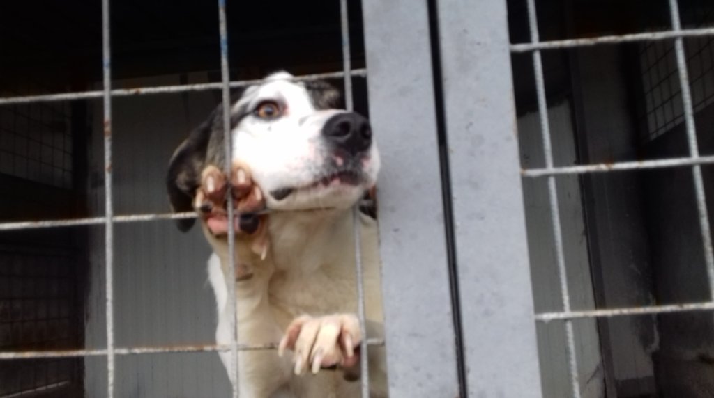 COVID -19 Solidarity Emergency Fund