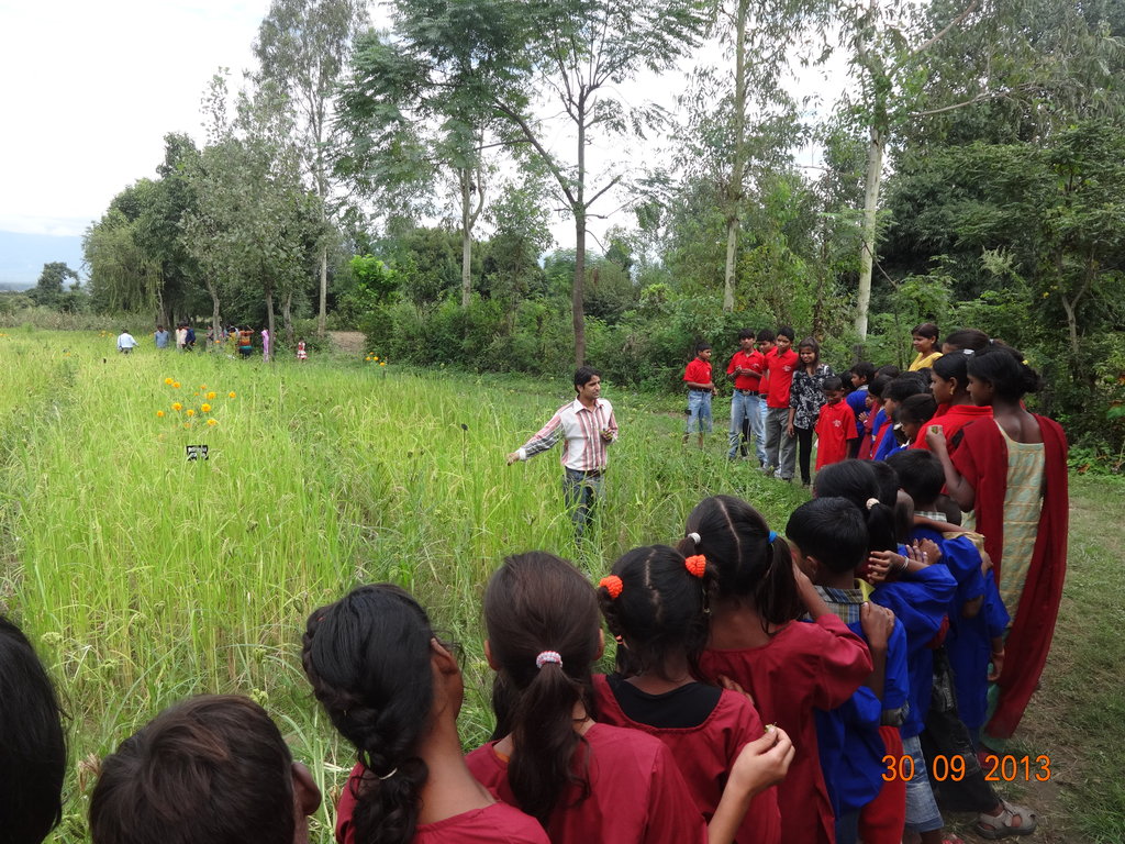 Street to School -Mainstreaming Street Children