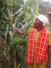 CTPH community volunteer, Monica, inspecting maize