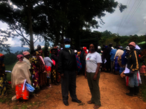 Distribution of ready to grow seedlings