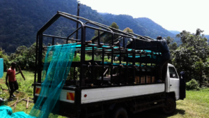 Ready to grow seedlings on a distribution track