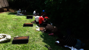 Women working on a ready to grow nursery bed