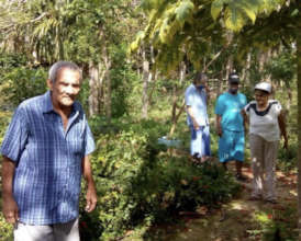 Our Grandparents on a Walk