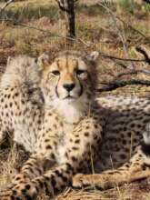 Just look at that face