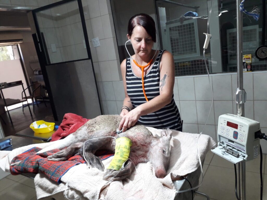 TRACK Rehabilitation Help us Help Wildlife