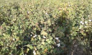 Poverty ending model