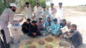 Training of trainers