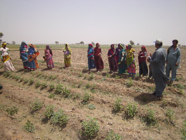 Ending Poverty with skills development in Pakistan