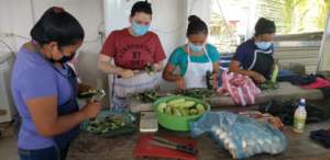 Food programmes as part of sustainable plans