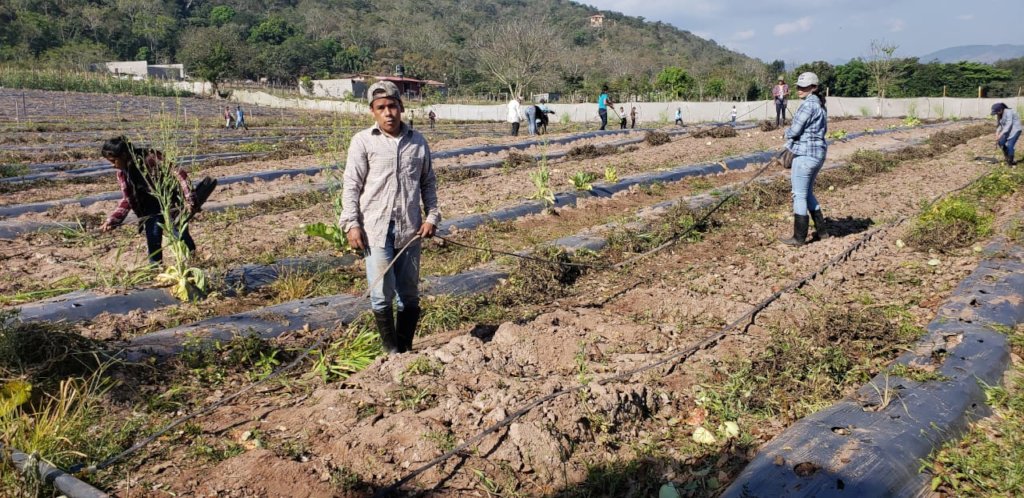 Learning agricultural techniques for the future