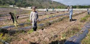 Learning agricultural techniques for the future