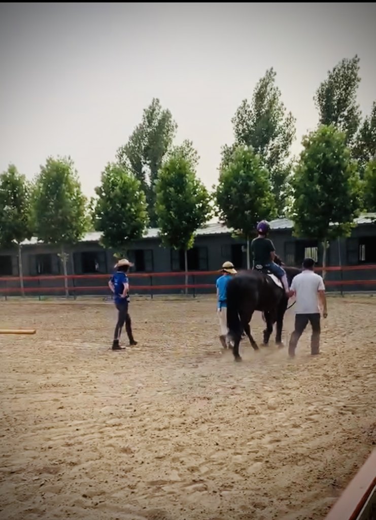 Horses Helping People with Disabilities in China