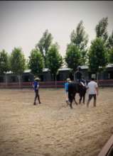 Summer Lessons