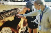 Support Therapeutic Riding for disabled in China