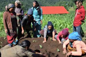 Women working together in a group