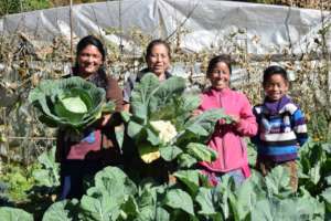Happy women supported by  The Small World