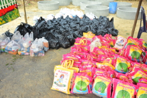 Distribution of ration kits
