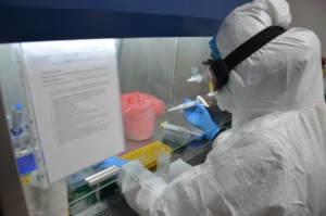 PCR based testing facility at FMIC